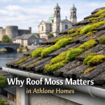 Why Roof Moss Matters in Athlone Homes - roof cleaning Athlone