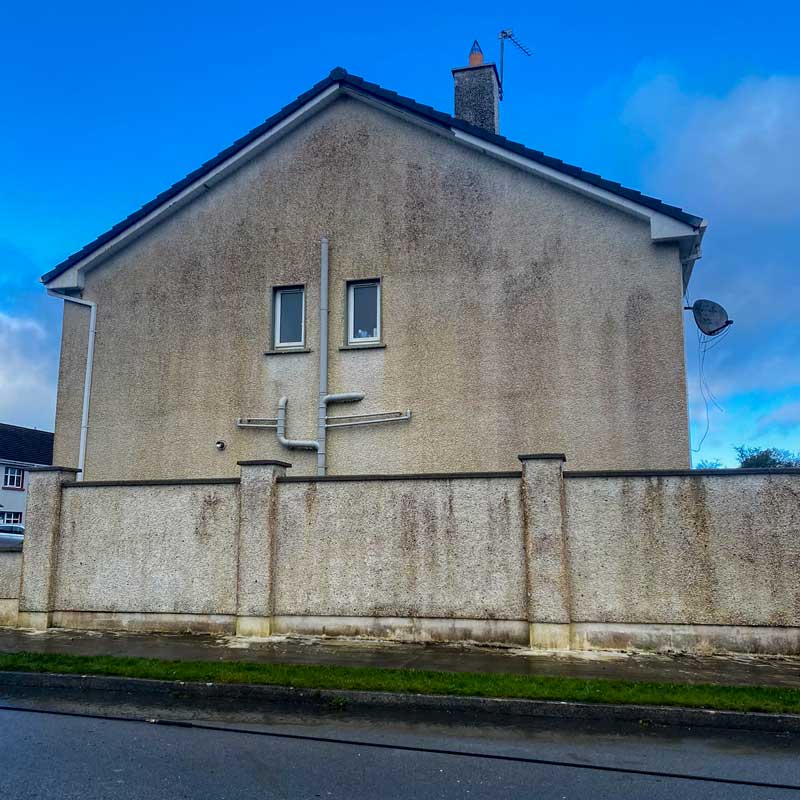 Algae on the gable end of a house in Athlone